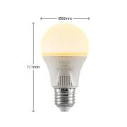 LED-lamppu E27 A60 11W valkoinen 2 700K 10 kpl