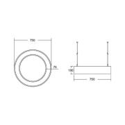 BRUMBERG Biro Circle Ring10 suora Ø 75 cm DALI hopea 830