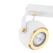 Kattospotti Kos Plus, 2-lamppuinen, messinki/valkoinen