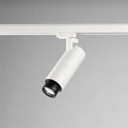 Egger DLS track spot Kelly, 15 - 90°, 3 000K, valkoinen