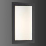 LED-ulkoseinälamppu Luis, grafiitinvärinen, lasi, ruostumaton teräs