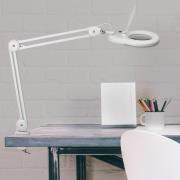 MAULviso LED-suurennuslasivalaisin, valkoinen, korkeus 50 cm, kiinnike