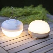 Newgarden Cherry LED-koristevalaisin, valkoinen