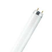 Loisteputki G13 T8 36W 36W 827 LUMILUX
