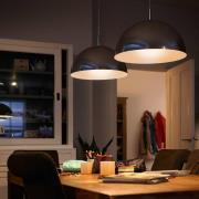 Philips Classic LED-lamppu E14 P45 6,5W 2 700 K