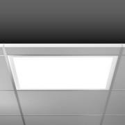 RZB Sidelite Eco LED-paneeli DALI 62.2cm 29W 830 RZB Sidelite Eco LED-...