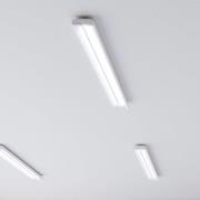 Siteco Taris LED-kattovalo 151cm DALI