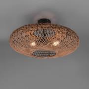 Kattovalaisin Hedda sisalia ja metallia