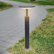 Lucande LED-valaisin Fenia, 60 cm, antrasiitti, IP65