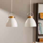 Bergen riippuvalaisin, 2-lamppuinen, valkoinen