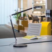 MAULgrace LED-pöytävalaisin, musta, 37 cm, himmennettävä, CCT-arvo