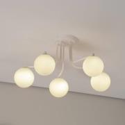 Astral kattovalaisin, valkoinen, pituus 64 cm, teräs/lasi, 5 valoa.