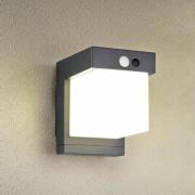 Colombo-seinävalaisin, mattamusta, korkeus 14 cm, anturi