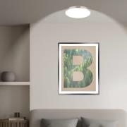 LED-kattovalaisin Kaida, mattanikkeli, Ø 38 cm, energiatehokkuusluokka...