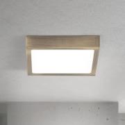 LED-kattovalaisin Disc, antiikkimessinki, pituus 14 cm, CCT