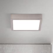 LED-kattovalaisin Disc, nikkelivärinen satiinipinta, pituus 14 cm CCT