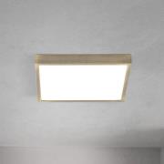 LED-kattovalaisin Disc, antiikkimessinki, pituus 24 cm, CCT