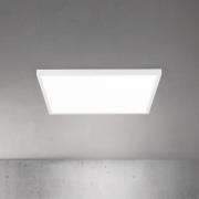 LED-kattovalaisin Disc, valkoinen, pituus 60 cm, CCT, metalli