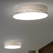 LZF LED-seinävalaisin Gea, harmaa, Ø 42 cm, puu