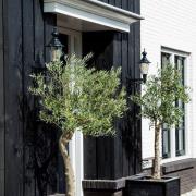 Nostalgic Edam M ulkoseinävalaisin, vihreä/kupari