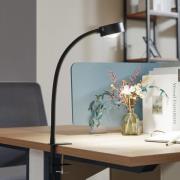 Lindby ruuvikiinnitteinen valaisin Jyla, mattamusta, GX53, joustava va...