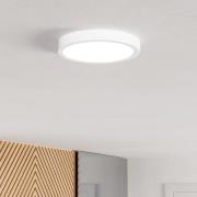 Alderney-riippuvalo, luonnonkuituvarjostin