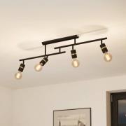 Lurone kattovalaisin, musta, neliliekkinen