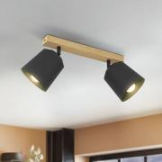 EGLO Cotorro -kattokohdevalo, 2-lamppuinen