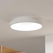 Seinävalo Stillington 1 terästä, puuyksityiskohta