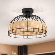 Kattovalaisin Anwick teräksestä, rottinkipunos