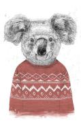 PelcasaJuliste Winter Koala (Red)ValkoinenJulisteet- Homeroom