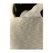 Paper Collective Striped Shirt juliste 30 x 40 cm