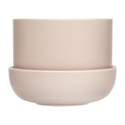 Iittala Nappula ruukku aluslautasella Ø17 cm k13 cm Beige