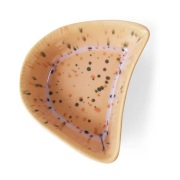 HKliving Shell tapas-kulho Speckled