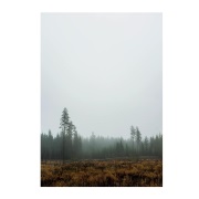 Fine Little Day Skog-juliste 70 x 100 cm