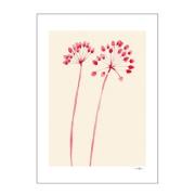 Poster & Frame - The Poster Club x Ana Frois Juliste 30x40 cm Flowers ...