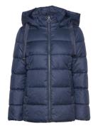 Coat Not Wool Vuorillinen Takki Topattu Takki Blue Gerry Weber Edition