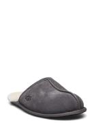 M Scuff Aamutossut Tohvelit Grey UGG