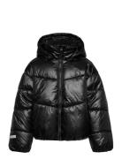 Jacket Puffer Toppatakki Black Lindex