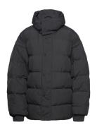 Boxy Puffer Jacket Vuorillinen Takki Topattu Takki Black Hope