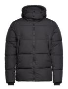 Cfwilson 0085 Short Puffer Jacket Vuorillinen Takki Topattu Takki Blac...