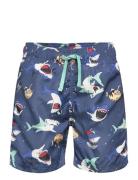 Swimshorts Aop Uimashortsit Blue Lindex