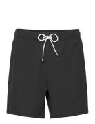 Hco. Guys Swim Uimashortsit Black Hollister