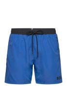 Starfish Uimashortsit Blue BOSS