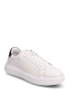 Low Top Lace Up Lth Matalavartiset Sneakerit Tennarit White Calvin Kle...