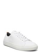 Less Leather Shoe Matalavartiset Sneakerit Tennarit White Sneaky Steve