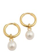 Treasure Pearl Hoops Gold Korvakoru Korut Gold Syster P