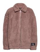 Teddy Bomber Jacket Takki Burgundy Calvin Klein