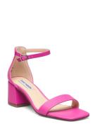 Low Tide Sandal Korolliset Sandaalit Pink Steve Madden