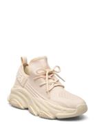 Protégé-E Sneaker Matalavartiset Sneakerit Tennarit Beige Steve Madden